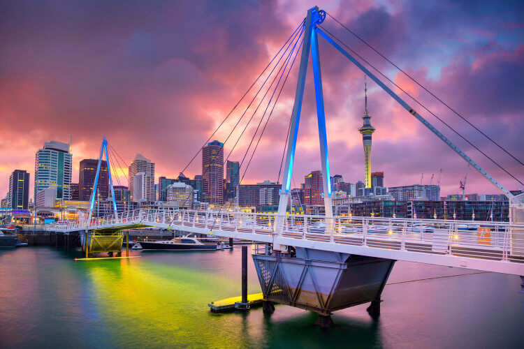 Explore Auckland