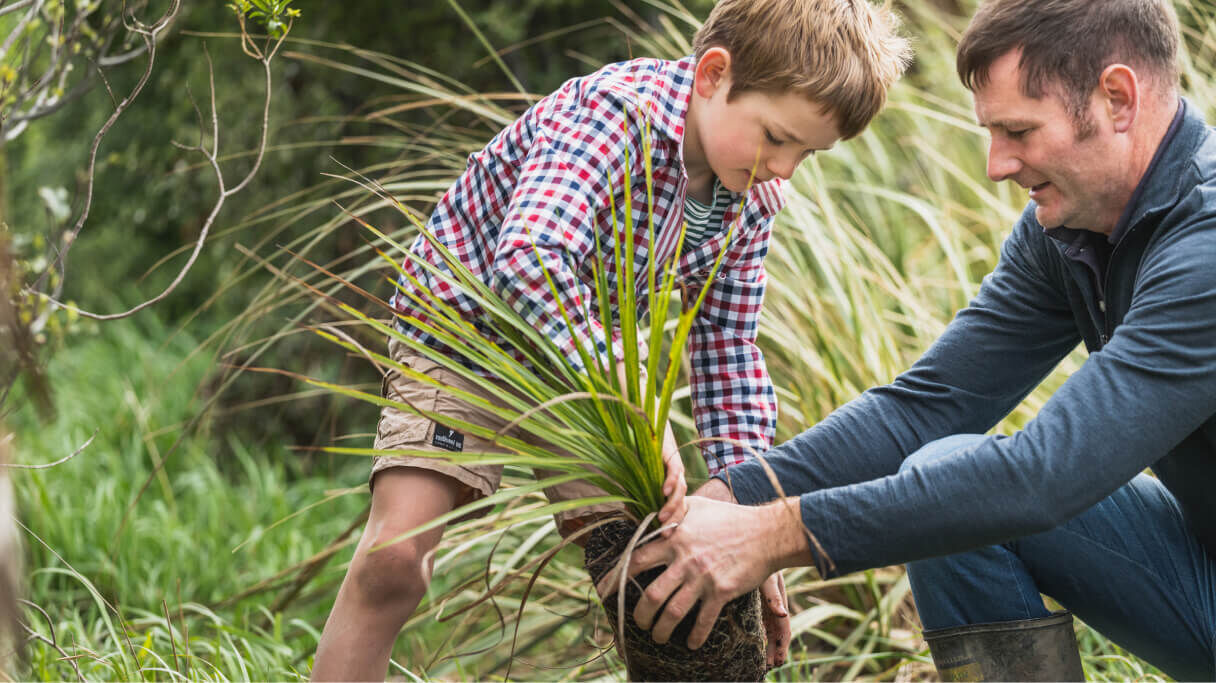 planting-tree.jpg